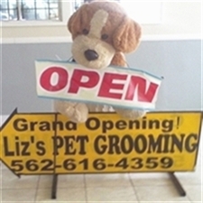 dog_grooming